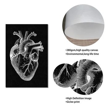 Анатомический плакат человека Внутренние органы Легкие Череп Сердце Орган таза Мышечная система Художественная живопись на холсте Принты медицинского образования